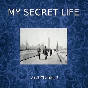 My Secret Life, Vol. 3 Chapter 3