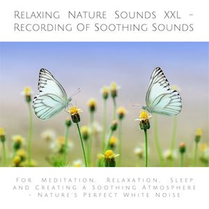 Relaxing Nature Sounds XXL (without music) - Recording Of Soothing Nature Sounds