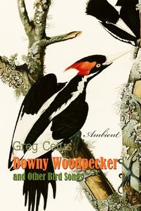 Downy Woodpecker and Other Bird Songs: Nature Sounds for Awakening