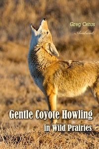 Gentle Coyote Howling in Wild Prairies