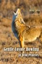 Gentle Coyote Howling in Wild Prairies