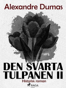 Den svarta tulpanen II