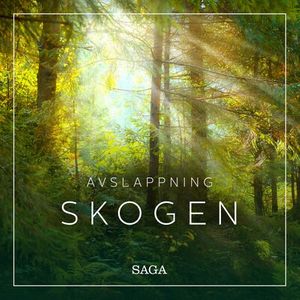 Avslappning - Skogen
