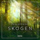 Avslappning - Skogen