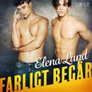 Farligt begär - erotisk novell