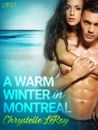 A Warm Winter in Montreal – Erotic Short Story