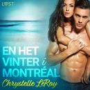 En het vinter i Montréal - erotisk novell