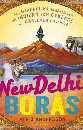 New Delhi - Borås : Den osannolika berättelsen om indiern som cyklade till Sverige för kärlekens skull