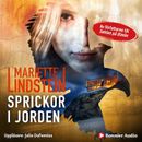 Sprickor i jorden