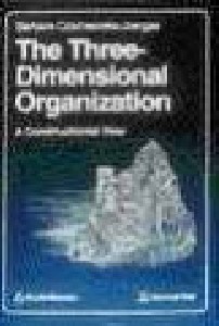 The Three-Dimensional Organizations: A Constructionist View