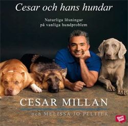 Cesar och hans hundar