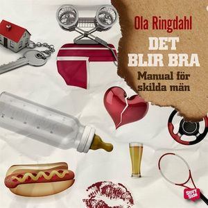 Det blir bra - manual för skilda män