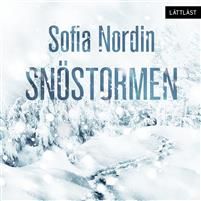 Snöstormen / Lättläst