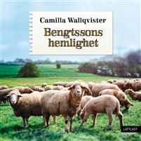 Bengtssons hemlighet / Lättläst