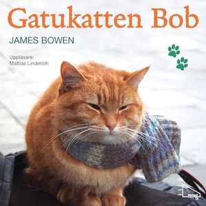 Gatukatten Bob