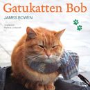 Gatukatten Bob