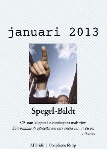 Spegel-Bildt, januari 2013. CB som klippan i okunskapens malström.