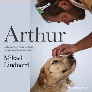 Arthur : Gatuhunden som lämnade djungeln och hittade hem