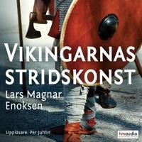 Vikingarnas stridskonst