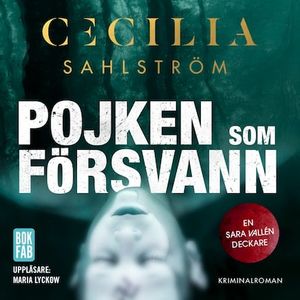 Pojken som försvann