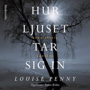 Hur ljuset tar sig in (En kommissarie Gamache-deckare)