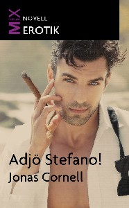 Adjö Stefano!: novell