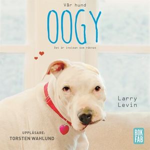 Vår hund Oogy : Det är insidan som räknas