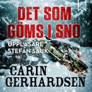 Det som göms i snö