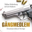 Gängmedlem : en annan sida av Sverige