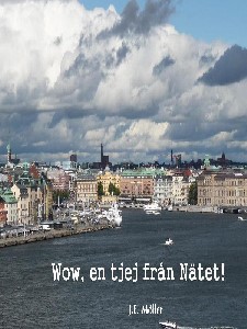 Wow, en tjej från Nätet!