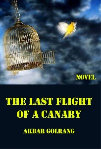 The Last Flight of a Canary