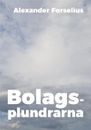Bolagsplundrarna : Teknikern som reste tillbaka till IT-boomen
